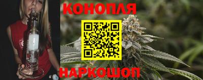 молекула духа Будённовск