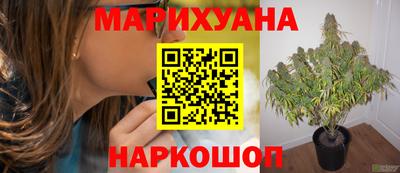 молекула духа Будённовск