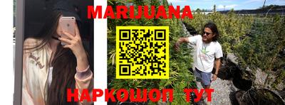 молекула духа Будённовск