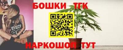 молекула духа Будённовск