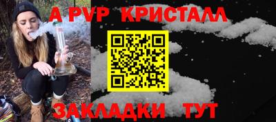 молекула духа Будённовск