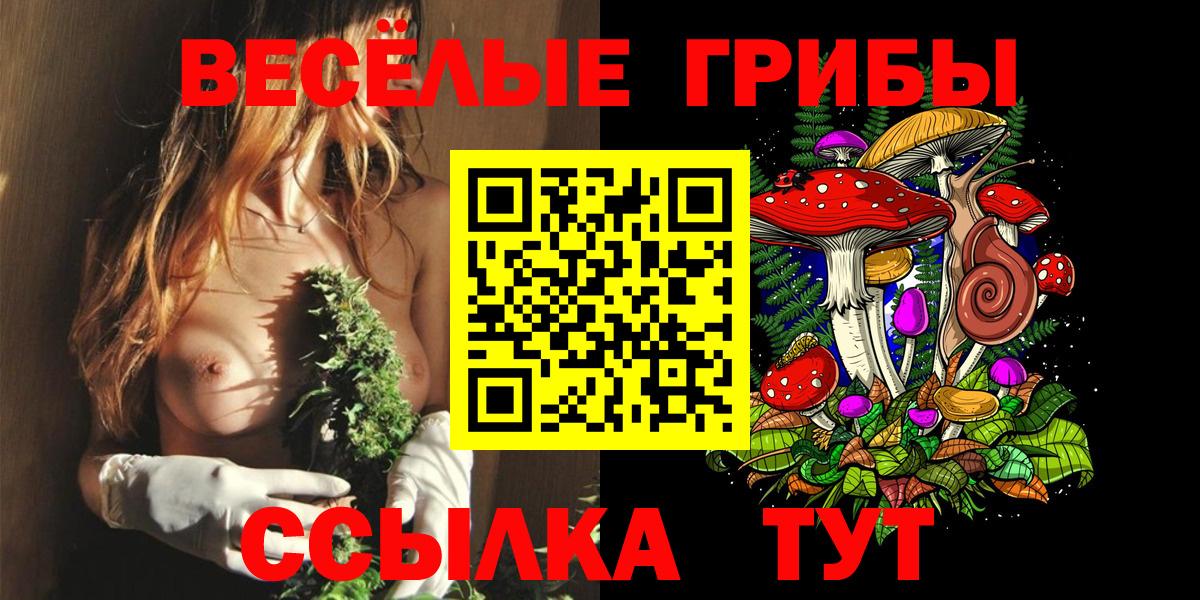 Псилоцибиновые грибы MAGIC MUSHROOMS Новодвинск
